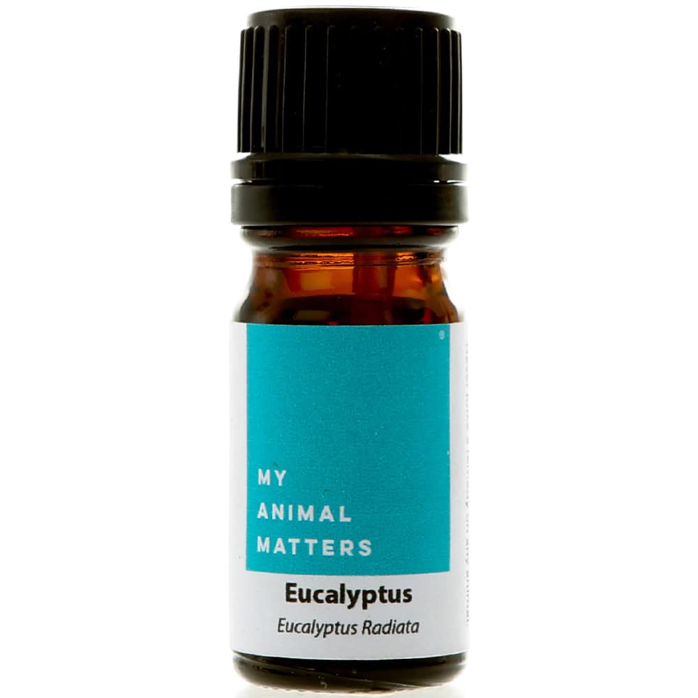 Eucalyptus essential oil for animals from My Animal Matters