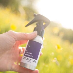 Relaxation in a bottle