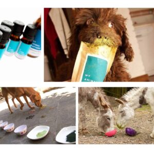 Zoopharmacognosy kit for dogs and horses