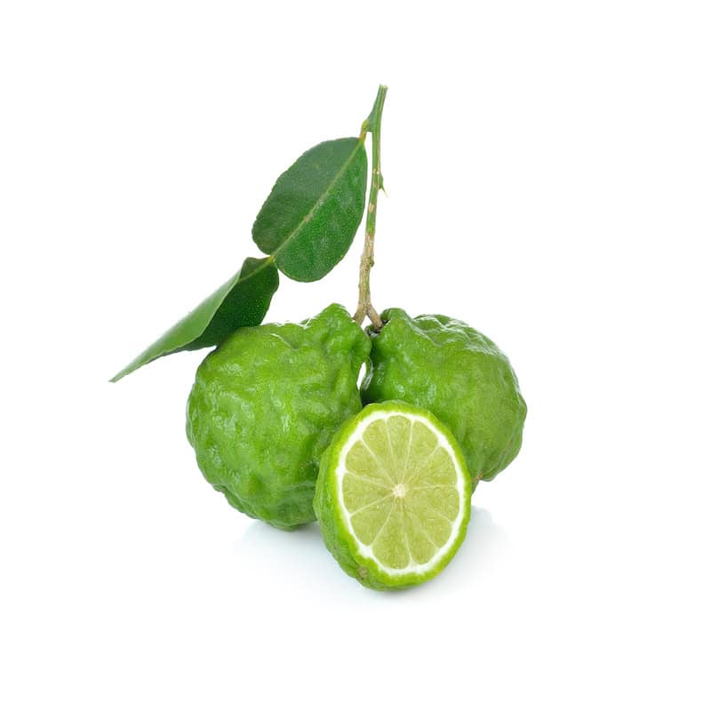 Bergamot essential oil for animals from My Animal Matters