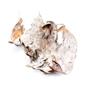 Birch essential oil for animals from My Animal Matters