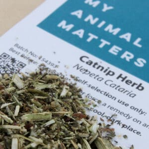 Catnip herb for animals from My Animal Matters