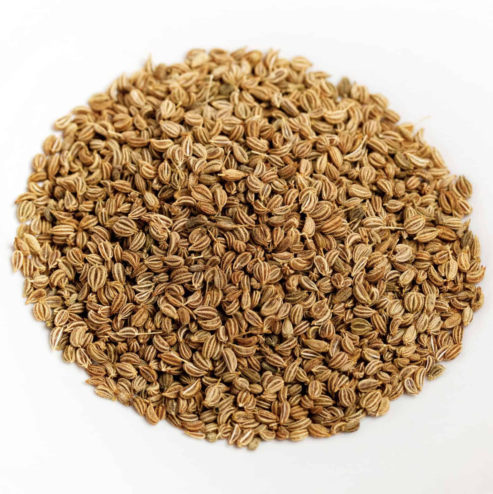 Celery seed essential oil for animals from My Animal Matters