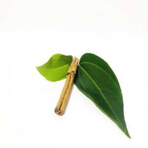 Cinnamon essential oil for animals from Animal Matters