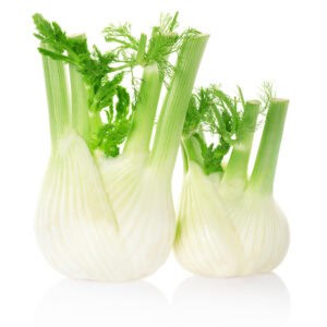 Fennel Sweet Essential Oil for animals for My Animal Matters