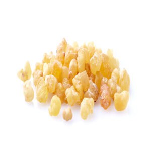 Frankincense essential oil for animals from My Animal Matters.