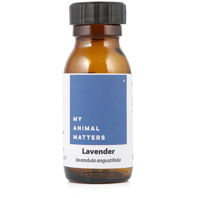 Lavender hydrosol for animals from My Animal Matters.