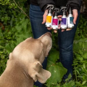 Pet calming kit blends