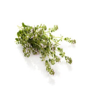 Thyme essential oil for animals from My Animal Matters.